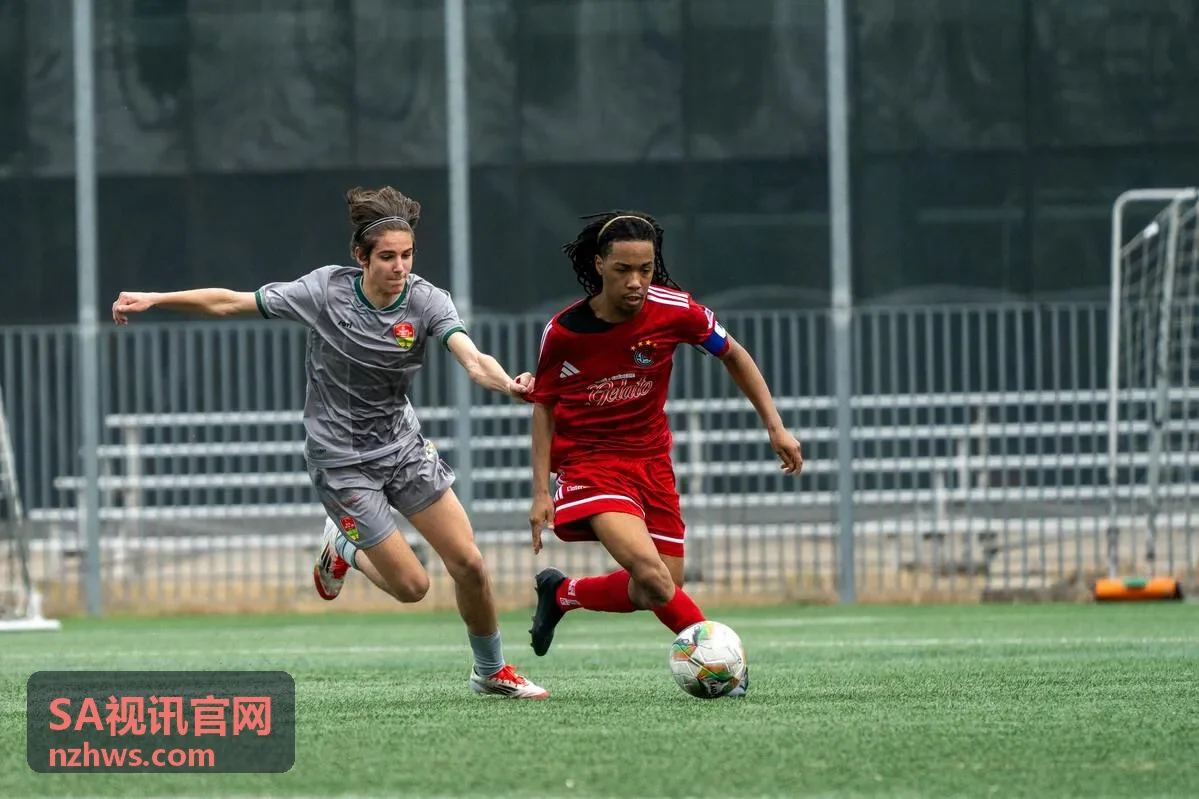 SA视讯实时视频通信控制面板界面展示